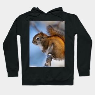 Red Squirrel Hoodie